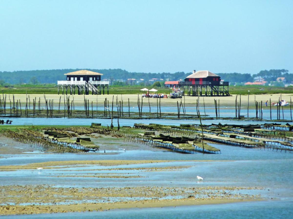 Apartment Villa Regatta By Interhome Arcachon Dış mekan fotoğraf